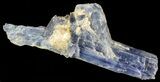 Vibrant Blue Kyanite Crystal - Brazil #56941-1